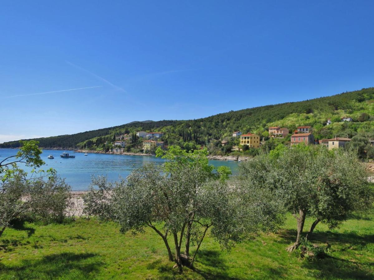 Holiday Home Andrea - Lbn415 By Interhome Labin  Εξωτερικό φωτογραφία